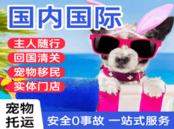 硕放空运地址国际宠物托运 【国